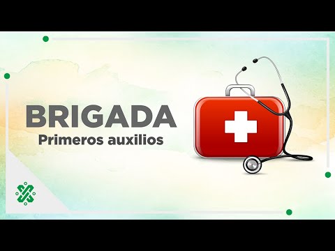 Practicar senderismo Disturbio Repeler Protección civil y primeros auxilios | Brigada INJUVE - YouTube