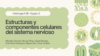 ESTRUCTURAS Y COMPONENTES CELULARES DEL SISTEMA NERVIOSO