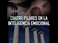 👨🏻🏫 Cuatro pilares en la inteligencia emocional ⬇️