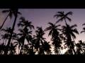 Miniature de la vidéo de la chanson Contact The Sun (Paul Novy Mash-Up)