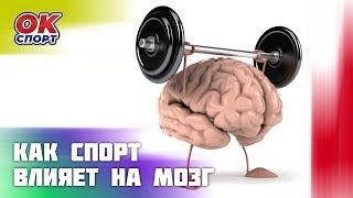 Как спорт влияет на мозг