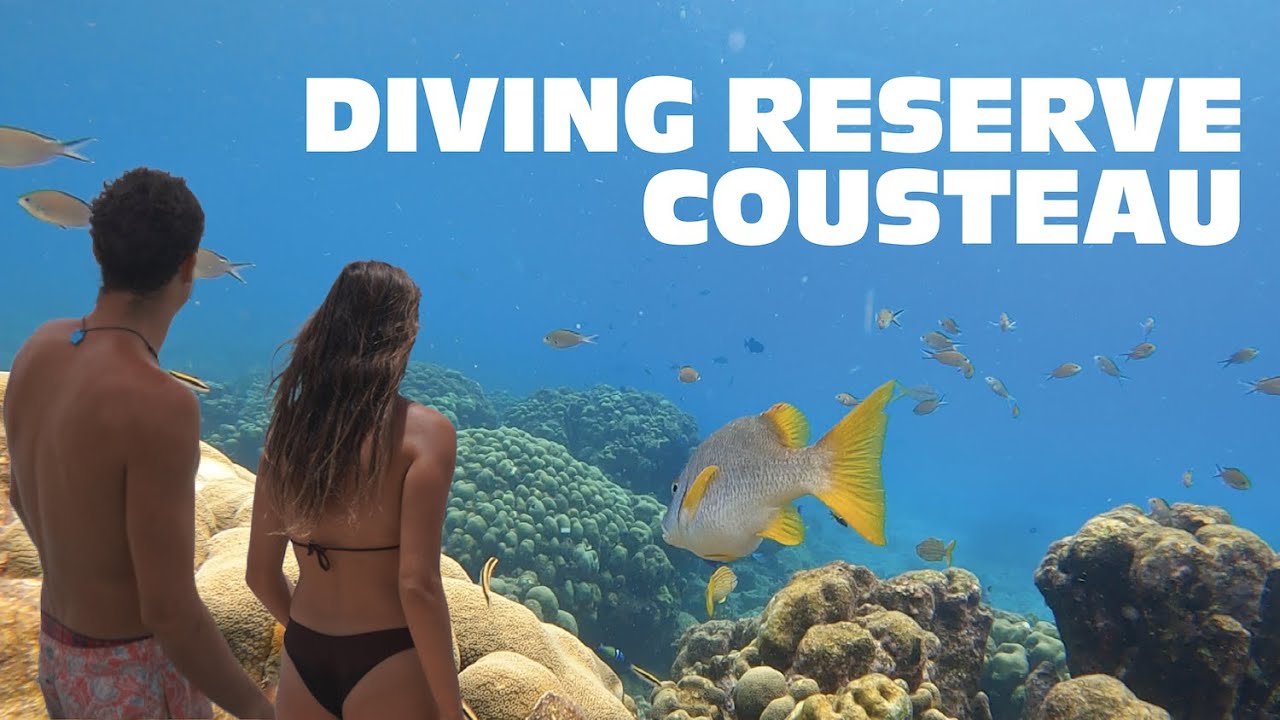 DIVING JACQUES COUSTEAU MARINE RESERVE!