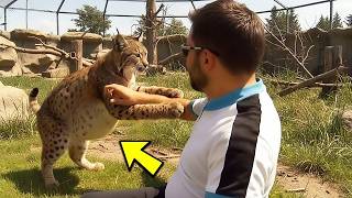 Bobcat Found the Woman Who Saved Her at a New Address Nobody Knew How
