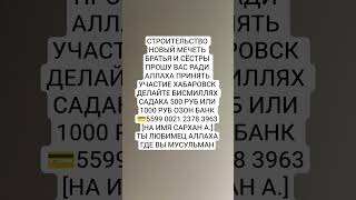 религия мусульмане ислам #умма #аллах #пророкмухаммадﷺ #знания #хадис