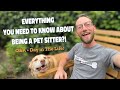 Everything You Need to Know About Pet Sitting and Dog Walking! | Q&A   Day in The Life!