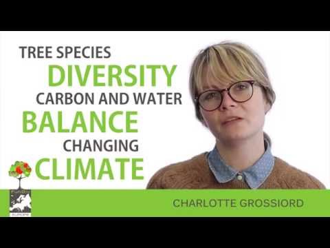 Charlotte Grossiord - Drought Resistance and Tree Species Diversity