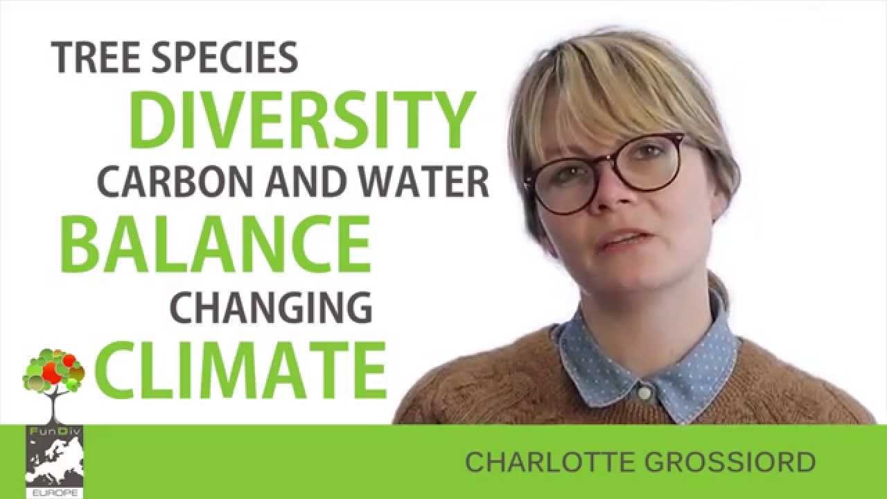 Charlotte Grossiord - Drought Resistance and Tree Species Diversity