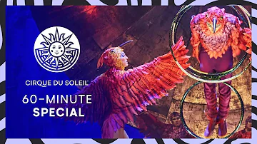 REACHING NEW HEIGHTS! | 60 MINUTE SPECIAL #15 | Cirque du Soleil | LUZIA, CORTEO, VOLTA