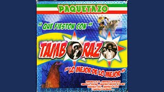 Te Vas Angel Mio (Instrumental)