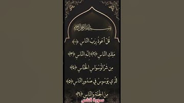 د.هاني صبحي/ السورة الوحيدة التي تنتهي كل آياتها بحرف السين