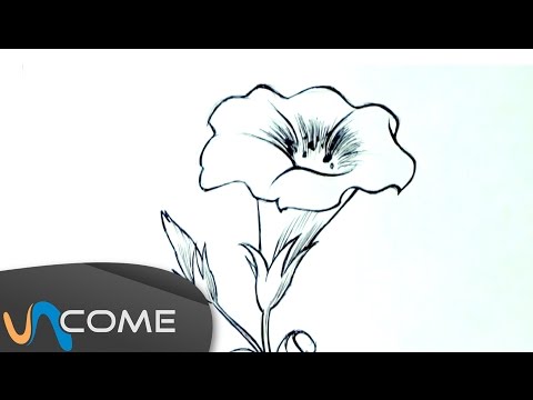 Video: Camomilla: Come Disegnare Un Fiore Solare