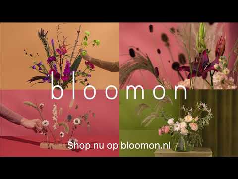 bloomon Floral design: upgrade naar een nieuw soort bloemen. TV commercial 2021.