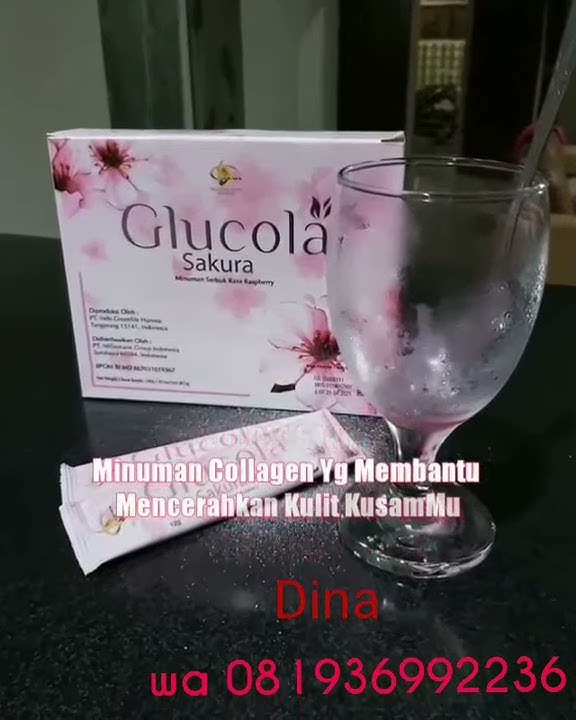 Glucola sakura