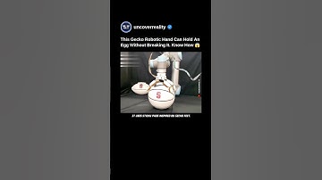 This Gecko Robotic Hand Pick Up An Egg Or Fragile Items Without Breaking It. Know How #robot #shorts