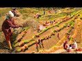 Traditional Way Threshing Paddy in the Beautiful Nepal Village | Rural Nepal | Unseen Documentary