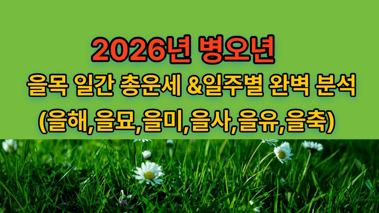 2026년 병오년 을목일간 운세 완벽분석