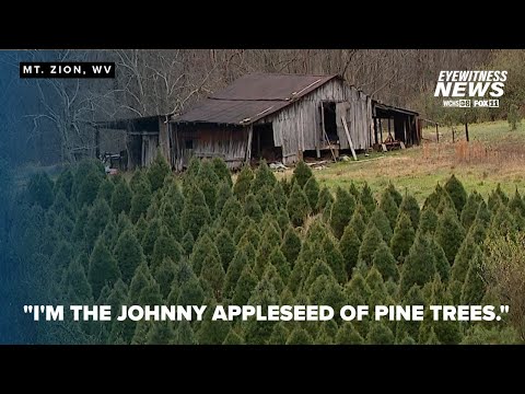 Traveling WV: Westfall's