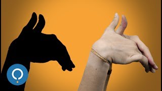 Aprenda a fazer sombras de animais com as mãos