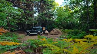 Overland Exploration and Camping in the Forest...