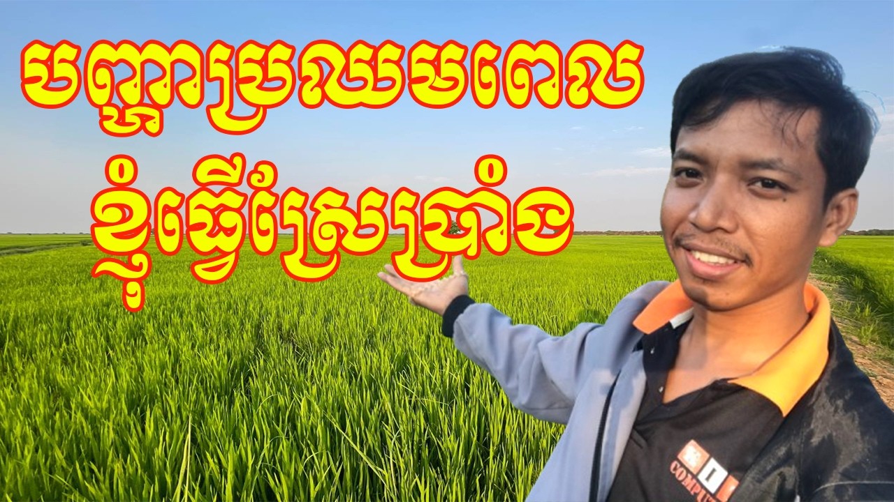 បញ្ហាប្រឈមពេលខ្ញុំធ្វើស្រែប្រាំង | Three Months rice farm of Cambodian Farmer