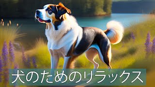 DOG TV: 心地よい ASMR 音楽で愛犬をリラックスさせる方法! by 犬のリラックスタイム 4 views 1 year ago 1 hour, 58 minutes