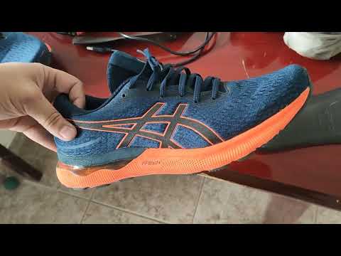 Nimbus 24 -