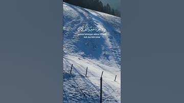 سورة الأعلى (الأعلى) – الآيات ١٤–١٩#تلاوة#القرآن