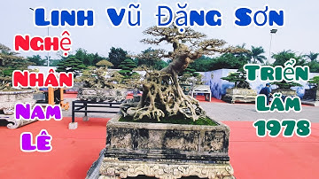 Linh Vũ Đằng Sơn của nghệ nhân Nam Lê tại triển lãm CLB  cây cảnh 1 9 7 8