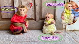 Linda was surprised and confused when she discovered that Puka looked 100% like her.