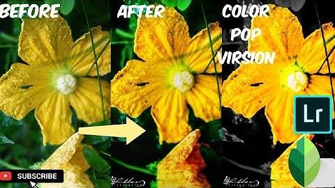 Snapseed Lightroom mobile photo editing tutorials quick learn editing plants , macro and flower