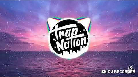 Trap nation : Bring back the summer: Mèo simmy 😯😯😯