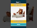 рџ рџ Hibernation Meaning Flash Card Learn English Vocabulary рџ рџ Hibernation Meaning Flash Card Learn English Vocabulary