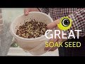 How to make great soak seed for birds | The Canary Room Top Tips