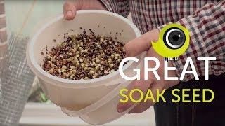 How to make great soak seed for birds | The Canary Room Top Tips screenshot 5