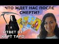 Жизнь Фатальна? Карма? Реинкарнация? Есть ли Душа? Перезалив из раннего