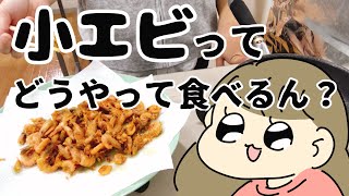 【小エビ】管理栄養士が小エビの3つの美味しい食べ方見つけた【クッキングラボ】