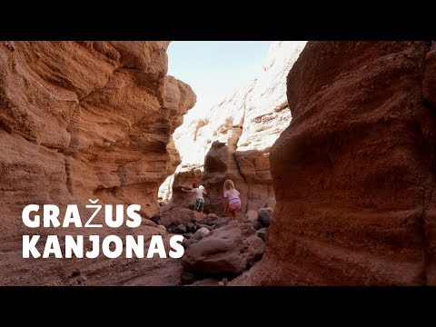 Video: Anza-Borrego dykumos valstybinis parkas: išsamus vadovas