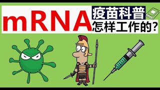 mRNA疫苗的优势 | 工作原理五分钟搞清 | 比传统疫苗更有效 | 抗新冠希望 | 有效性和安全性 | 低温运输 | 生产速度快 |信使脱氧核糖核酸 | How mRNA vaccine works