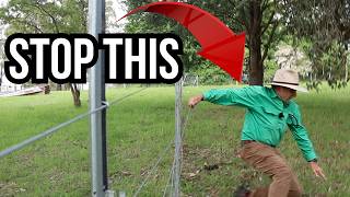 Fence Too Low? Fix It Easily!