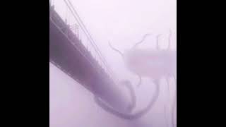 Moaning Monster Sound Effect (Copyright Free)