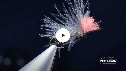 MP 2304 by Marc Petitjean