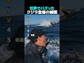 世界でバズったクジラ登場の瞬間TOP5