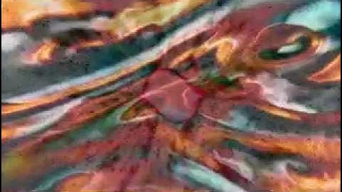 Didgeridoo & Moog Synthesizer "Mysticbirds"