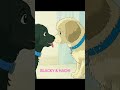 BLACKY & HACHI 2025
