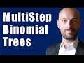 Pricing Options Using Multi Step Binomial Trees