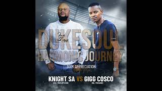 Knight SA & Gigg Cosco - 300K Appreciation Mix (Harmonic Journey To DukeSoul)