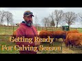 Getting ready for the calving cow farmlife