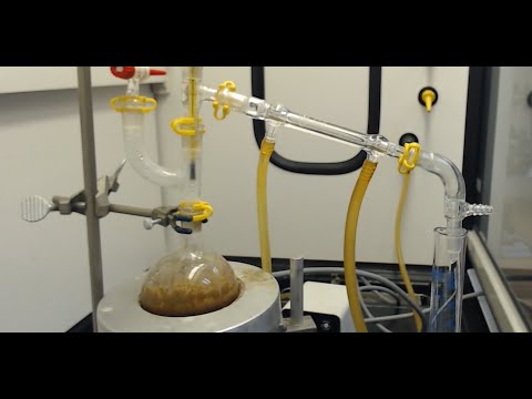 Video: Koks tirpiklis naudojamas eugenolio aliejui ekstrahuoti iš distiliato?