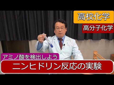 ニンヒドリン反応　実験　化学反応式　アミノ酸　グルタミン酸　高分子化学　高校化学　エンジョイケミストリー　151303