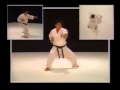 Kyokushin Karate Bible HD.wmv